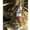 Photo of Navpreet S.