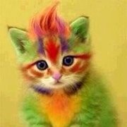 google avatar