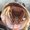 Photo of Amanda Y.