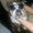 Photo of Marley M.