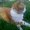 Photo of Bethann H.