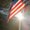 Photo of Trystan C.