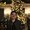 Photo of Derek Q.