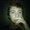 Photo of Josh I.