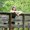 Photo of Megan R.