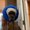 Photo of Marj S.