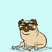 google avatar