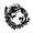 Photo of Elian D.