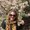 Photo of Lauren H.