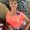 Photo of Catherine S.