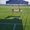 Photo of Players S.