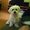 Photo of Qype User (BibaPa…)