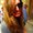 Photo of Valentina C.