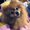 Photo of Miya T.