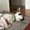 Photo of Gwendolyn M.