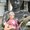 Photo of Carolyn A.