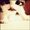 Photo of Lou P.