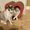 Photo of Neko L.