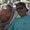 Photo of Jovanny V.