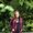 Photo of Anna P.