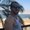 Photo of Ofir G.