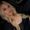Photo of Chelsey M.