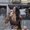Photo of Daniella H.