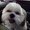 Photo of Missy B.