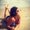 Photo of Gaby P.