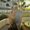 Photo of Kylie K.
