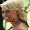 Photo of Megan D.