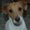 Photo of Sherry M.