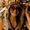 Photo of Bella D.