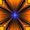 Photo of Fixion D.