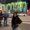 Photo of Mariana M.