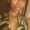 Photo of Sanea F.