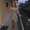 Photo of Adelys S.