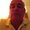 Photo of Wayne M.