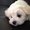 Photo of Debra R.