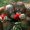 Photo of Ritu S.