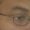 Photo of Mark M.