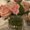 Photo of Marci S.