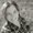Photo of Briena H.