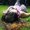 Photo of Tatiana C.