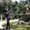 Photo of Azin B.