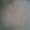 Photo of Phil S.