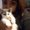 Photo of Elvia P.