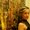 Photo of Nina S.