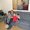 Photo of Cathy S.