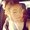 Photo of Mingi K.